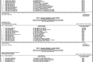 112044AA_page-0001