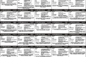 113031AA_page-0001